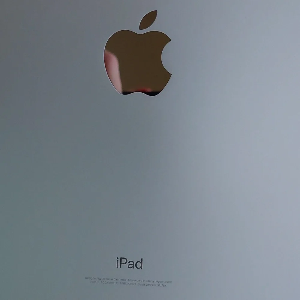 Apple Ipad 6th Generation